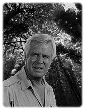 CITE Forest Hannibal